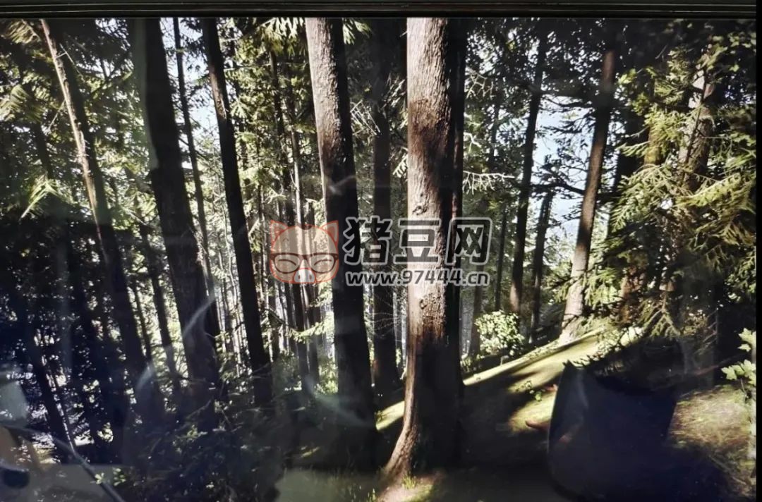 《森林之子》新手速成 《森林之子》新手速成