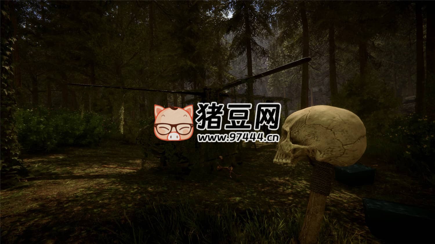 《森林之子》v53884 正式版