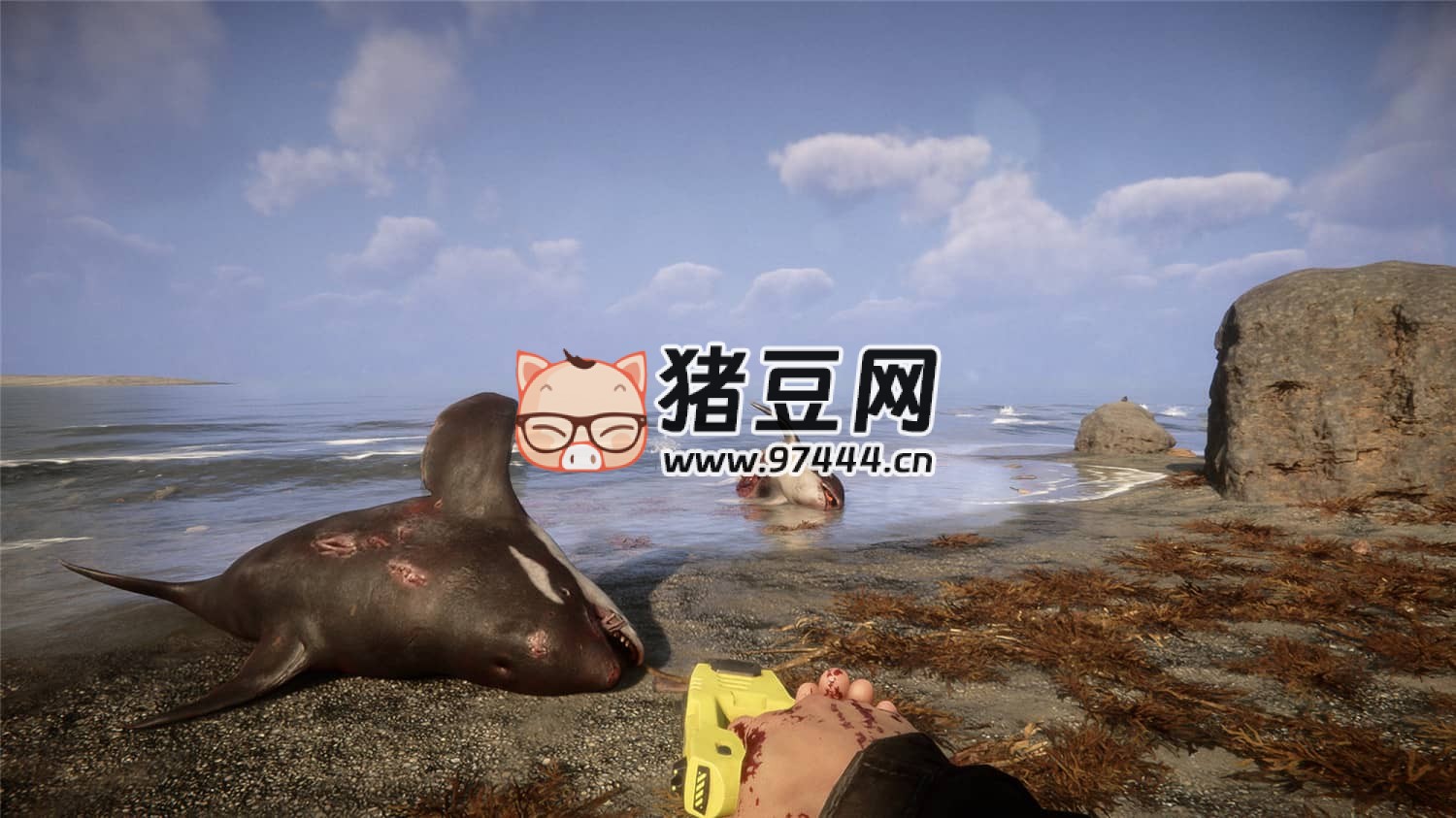 《森林之子》v53884 正式版