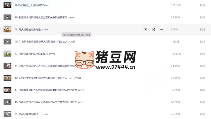 专业训犬教程（140 节课）