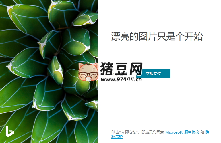 Bing Wallpaper v2.0.1.8 中文版