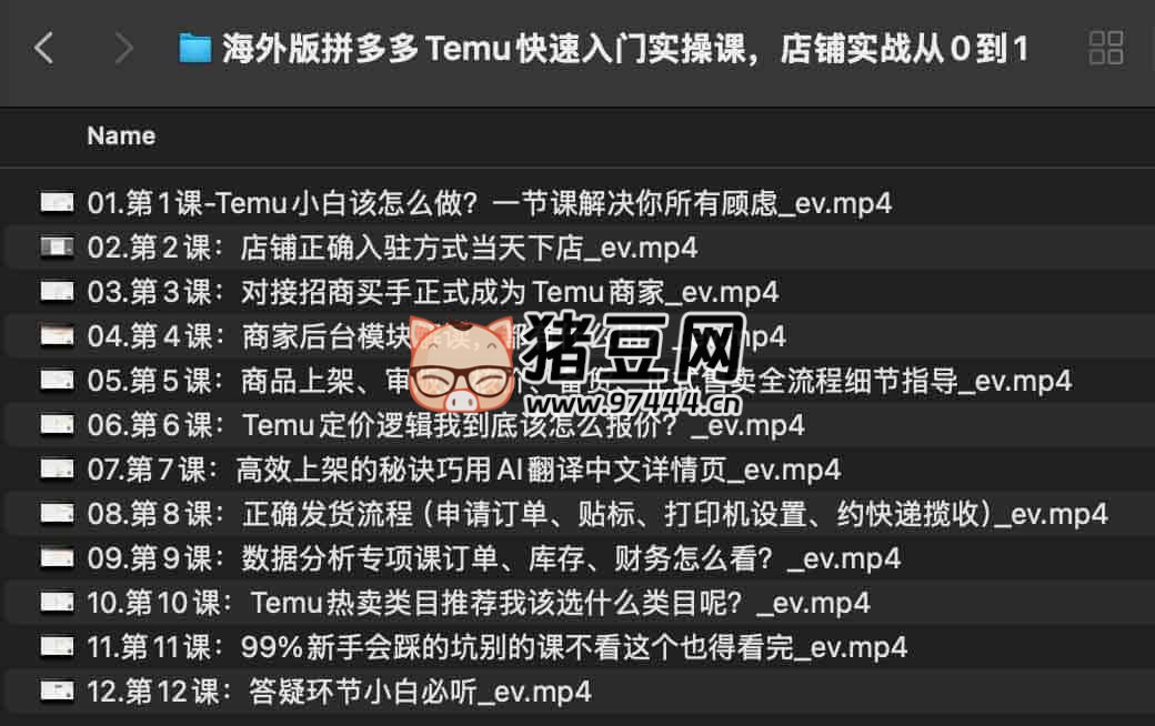 海外版拼多多 Temu 快速入门实操课 海外版拼多多 Temu 快速入门实操课