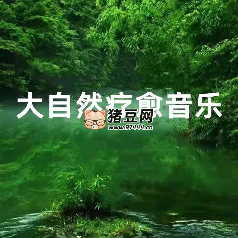 大自然音乐系列合集
