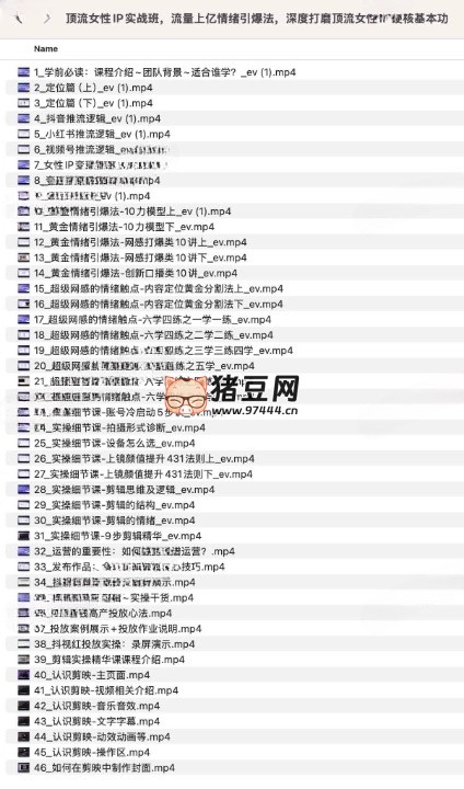 顶流女性 IP 实战班,流量上亿情绪引爆法,深度打磨顶流女性 IP 硬核基本功 顶流女性 IP 实战班,流量上亿情绪引爆法,深度打磨顶流女性 IP 硬核基本功