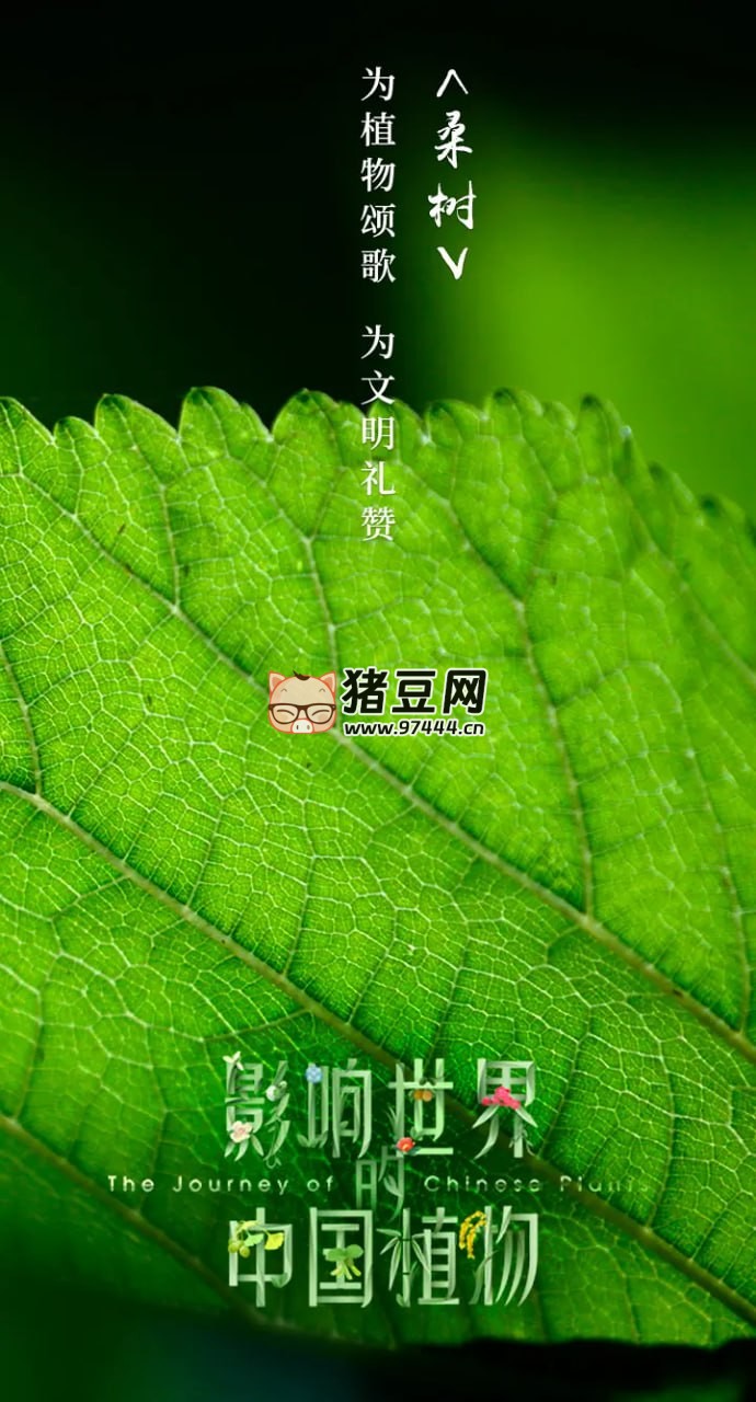《影响世界的中国植物》纪录片 (2019)