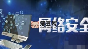 2024 最新网络安全信息安全全套资料 2024 最新网络安全信息安全全套资料