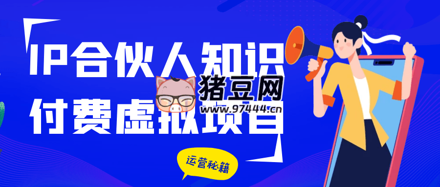 IP 合伙人知识付费虚拟项目