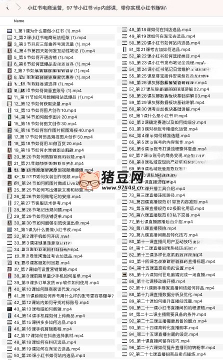 小红书电商运营，97 节小红书 vip 内部课，带你实现小红书赚钱