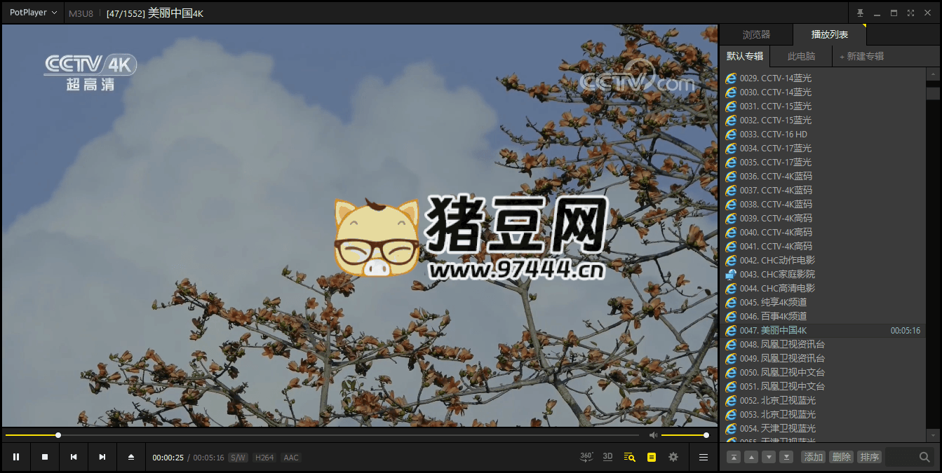 PotPlayer v1.7.22494 绿色版 PotPlayer v1.7.22494 绿色版