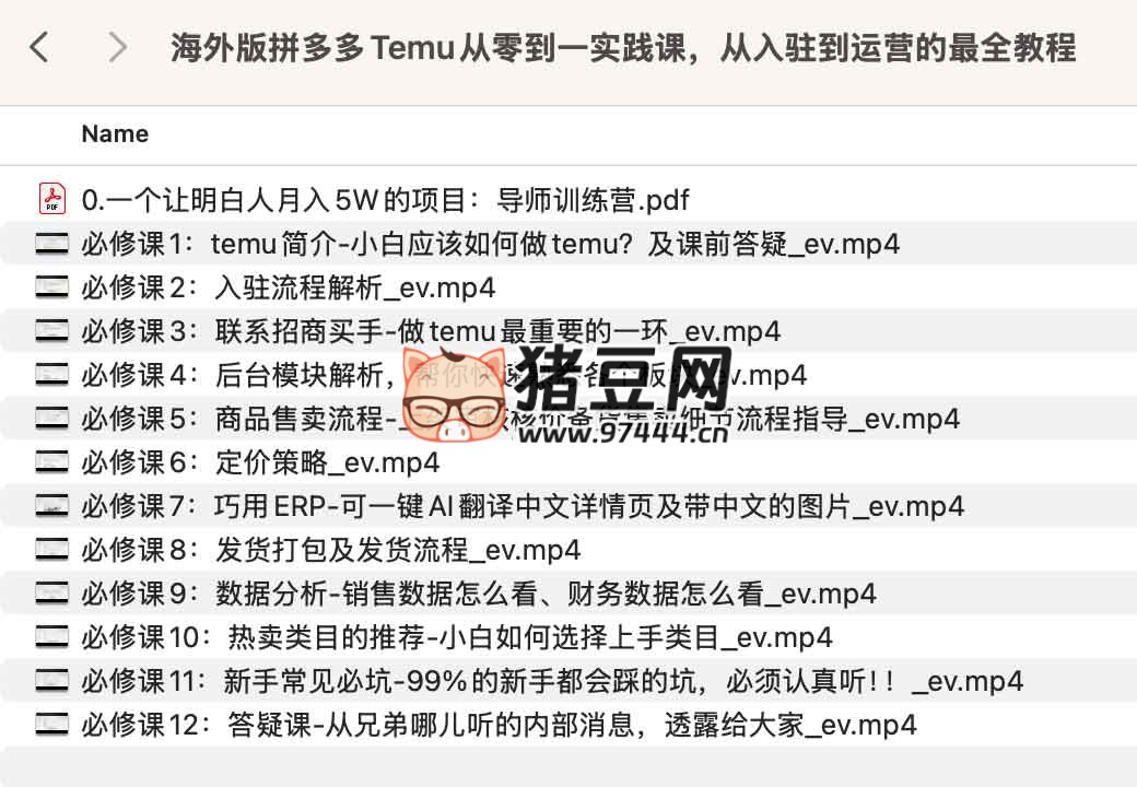 海外版拼多多 Temu 从零到一实践课，从入驻到运营的最全教程