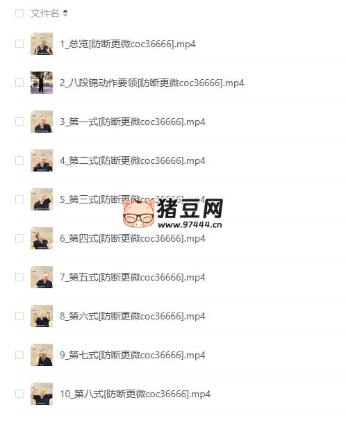 齐善鸿老师八段锦线上视频课